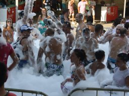 XVII Concentracion - 2010